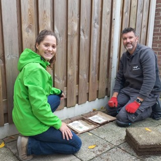 Tegels eruit halen voor meer groen op Dag van de Duurzaamheid